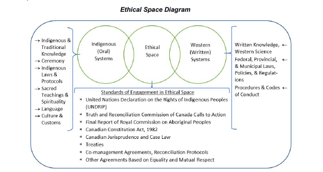Figure 1: The Ethical Space Diagram[4]